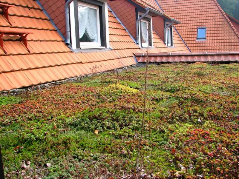 extensive-dachbegruenung-bartos-galabau-hagen