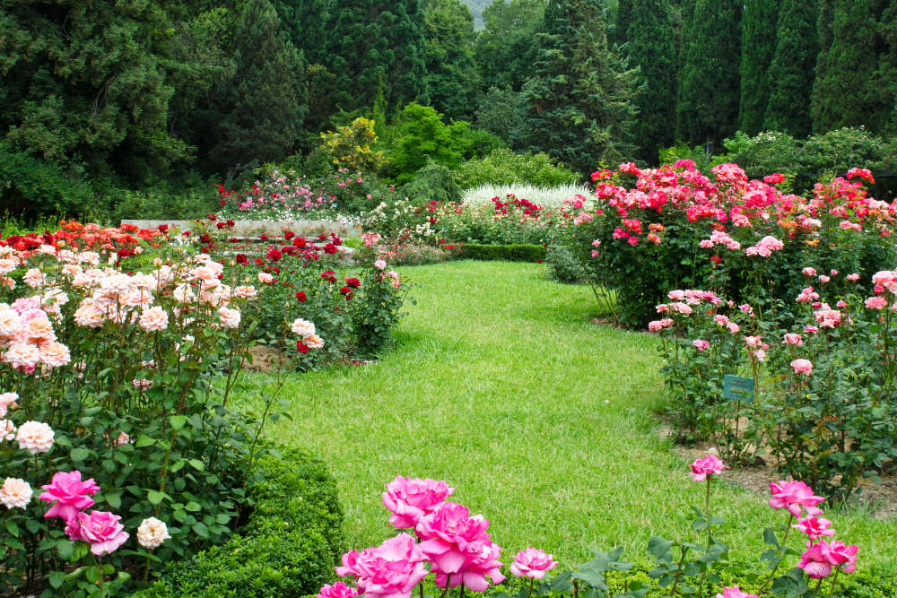 Gartenarbeit im Juli - Bartos Hagen