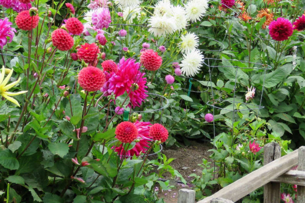 Garten im Herbst - Bartos Hagen