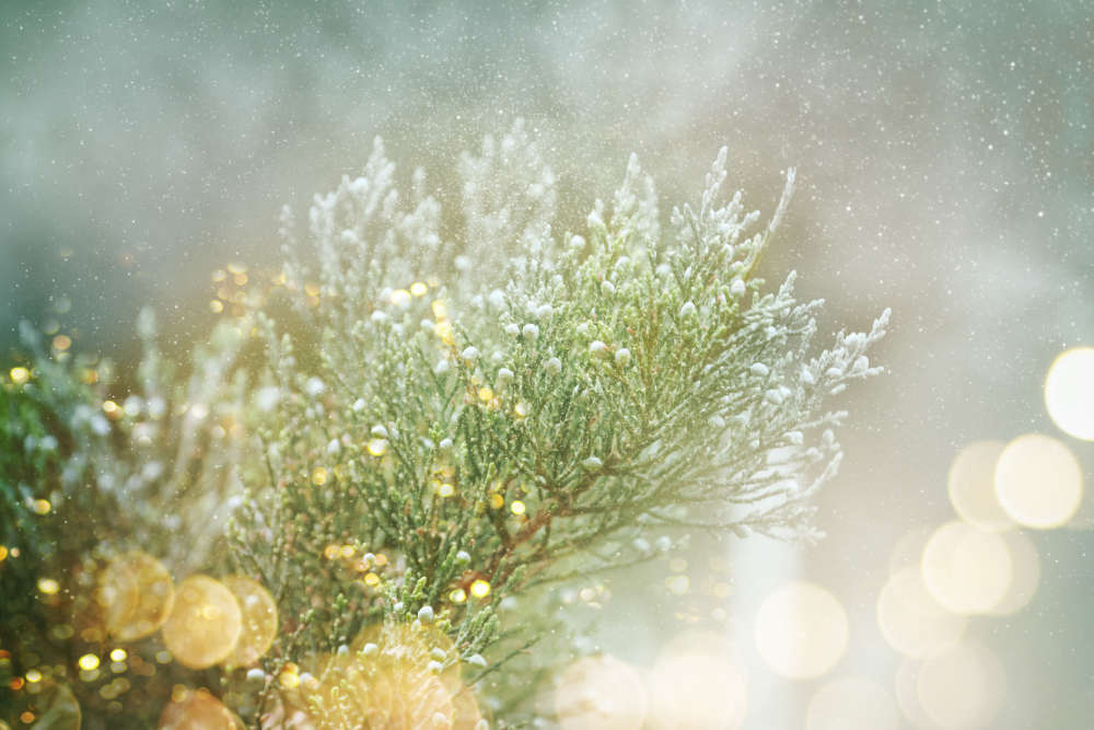 Garten im Winter Gartenbeleuchtung - Bartos Hagen