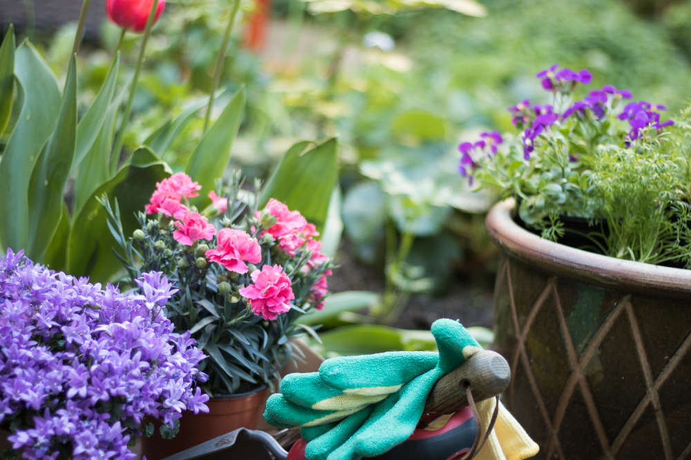 Garten im April - Bartos Hagen