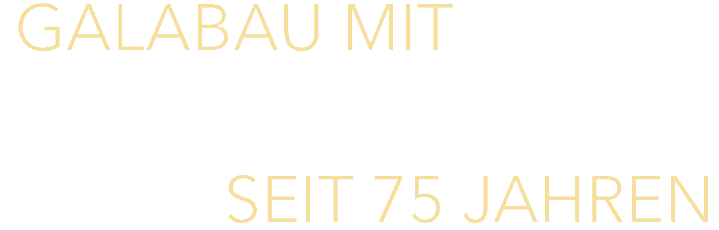 Leidenschaft-bartos-hintergrund-neu 2021