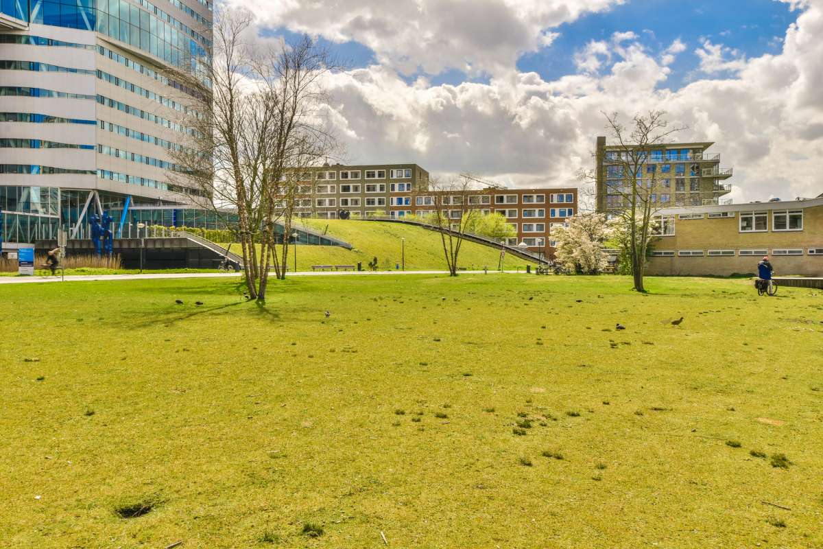 Grünflächenpflege Winter Temperaturen Ruhe Tipps