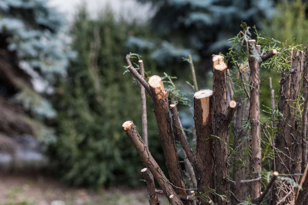 Grünflächenpflege Wintermonate Vorbereitung Geräte
