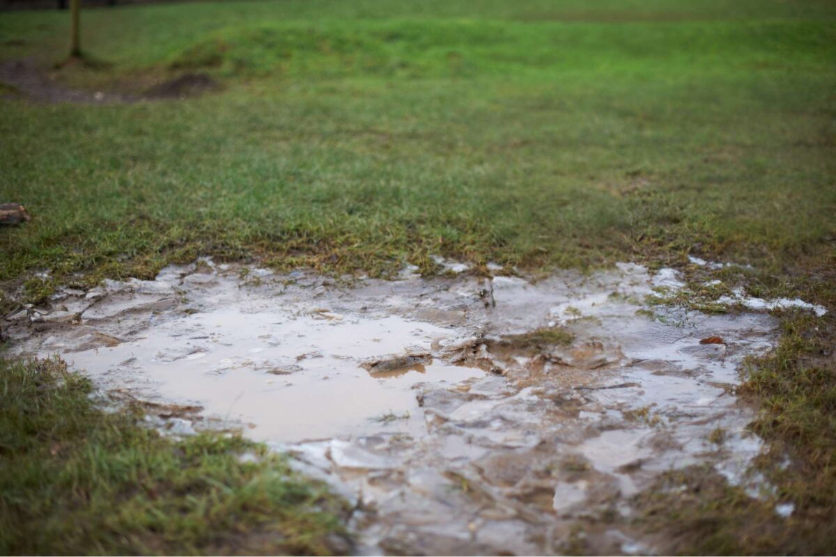 Rasenpflege Tipps nach wenig Schnee